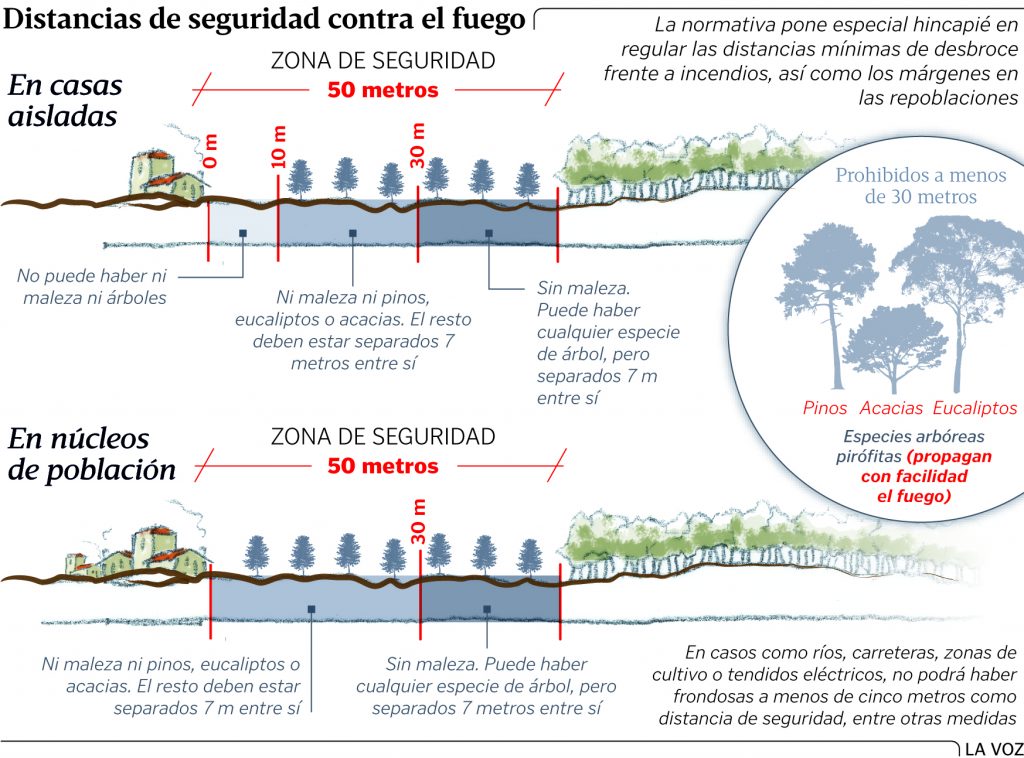 como-denunciar-una-plantacion-de-eucaliptos-en-galicia